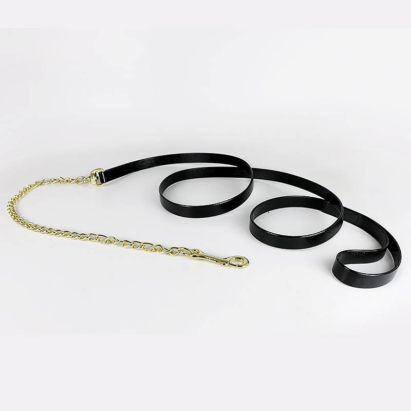 A chain for horses